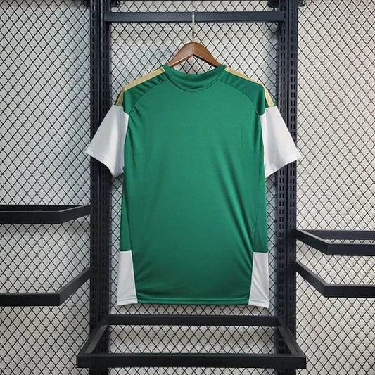 2026 Italy National Team Training Suit Green Football Shirt