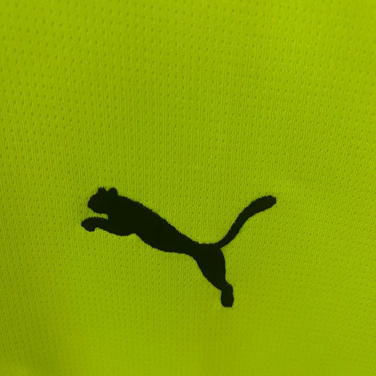 2025/2026 Dortmund Special Edition Green Football Shirt