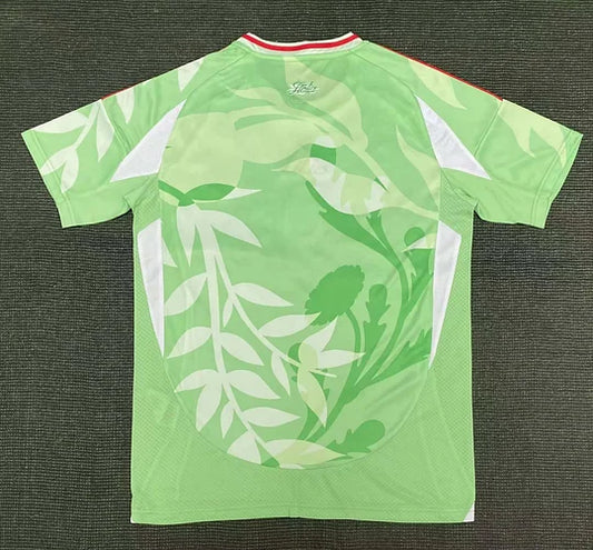 2025 Italy Away Football Shirt